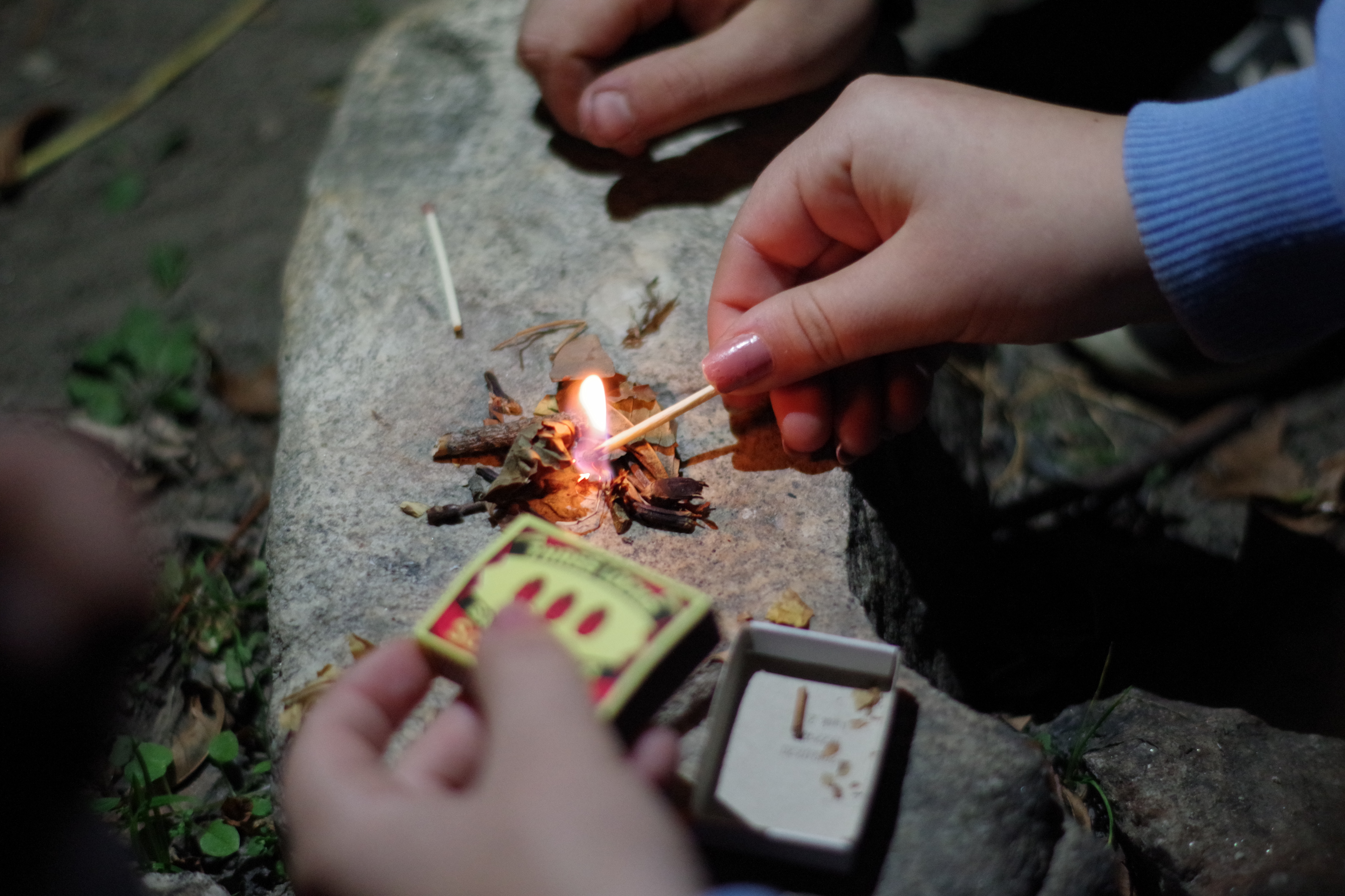 Zika3_63_PS_Sosna Autor: Matěj Zíka, 63. PS Sosna