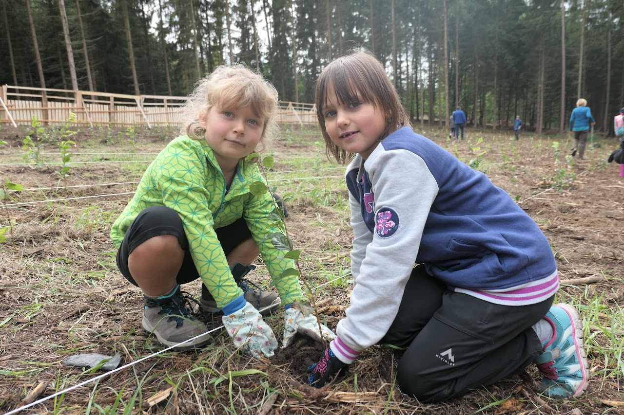 Po obědě už hurá sázet stromy